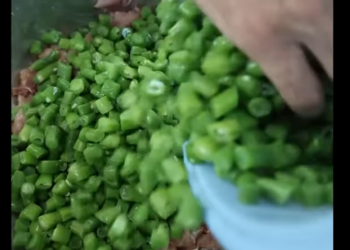 H2701021 幸福是有人愿意聽你講一堆廢話 今天把我姑姑帶來家里 給我把做了很多大肉包 老爸一頓吃了三四個大包子#人間煙火 #家的味道 part2